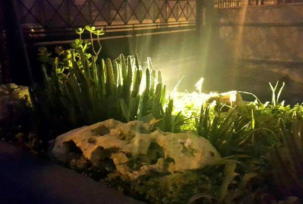Lo Specchio Del Salento Bed & Breakfast Lecce Bagian luar foto